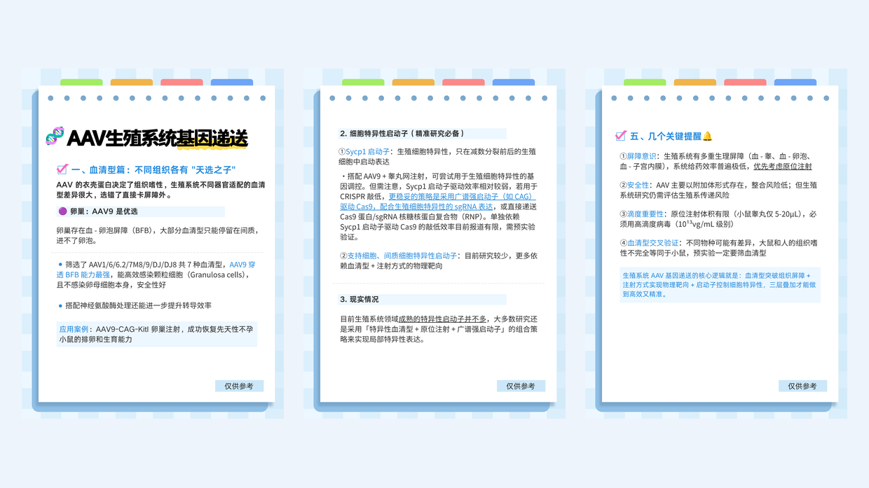 AAV 生殖系统基因递送：血清型、递送路径与启动子策略图解