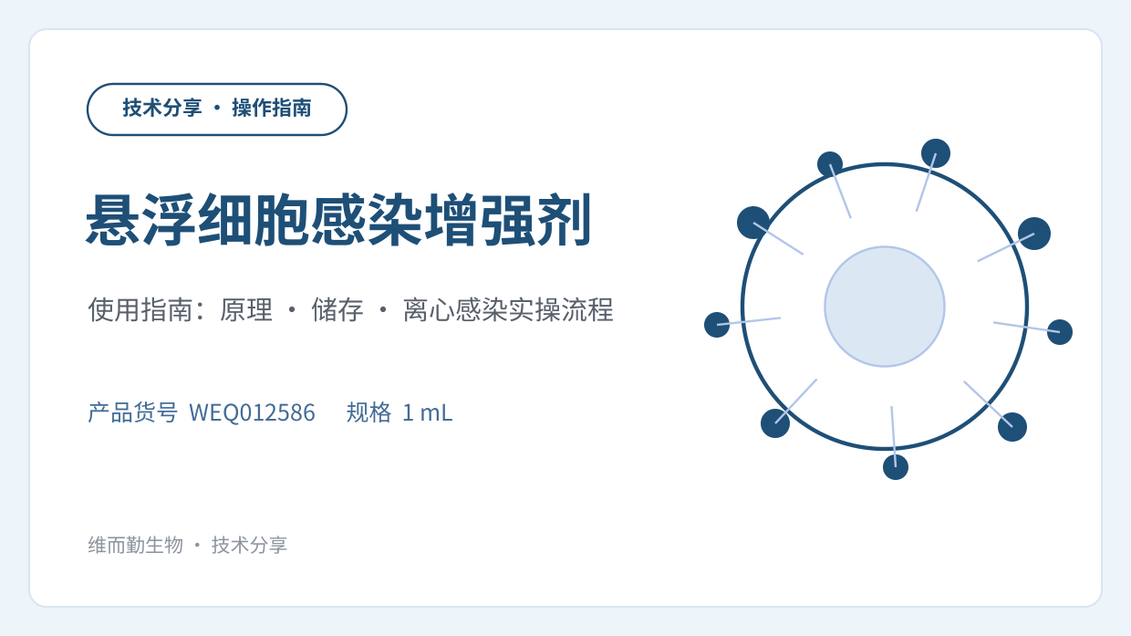 悬浮细胞感染增强剂使用指南：原理、储存与离心感染实操